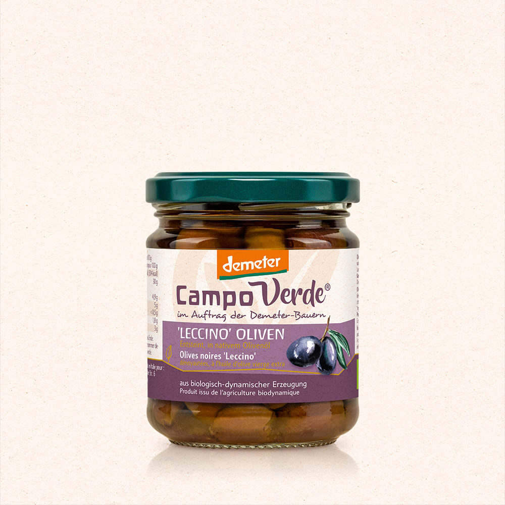 ‘Leccino‘ Oliven